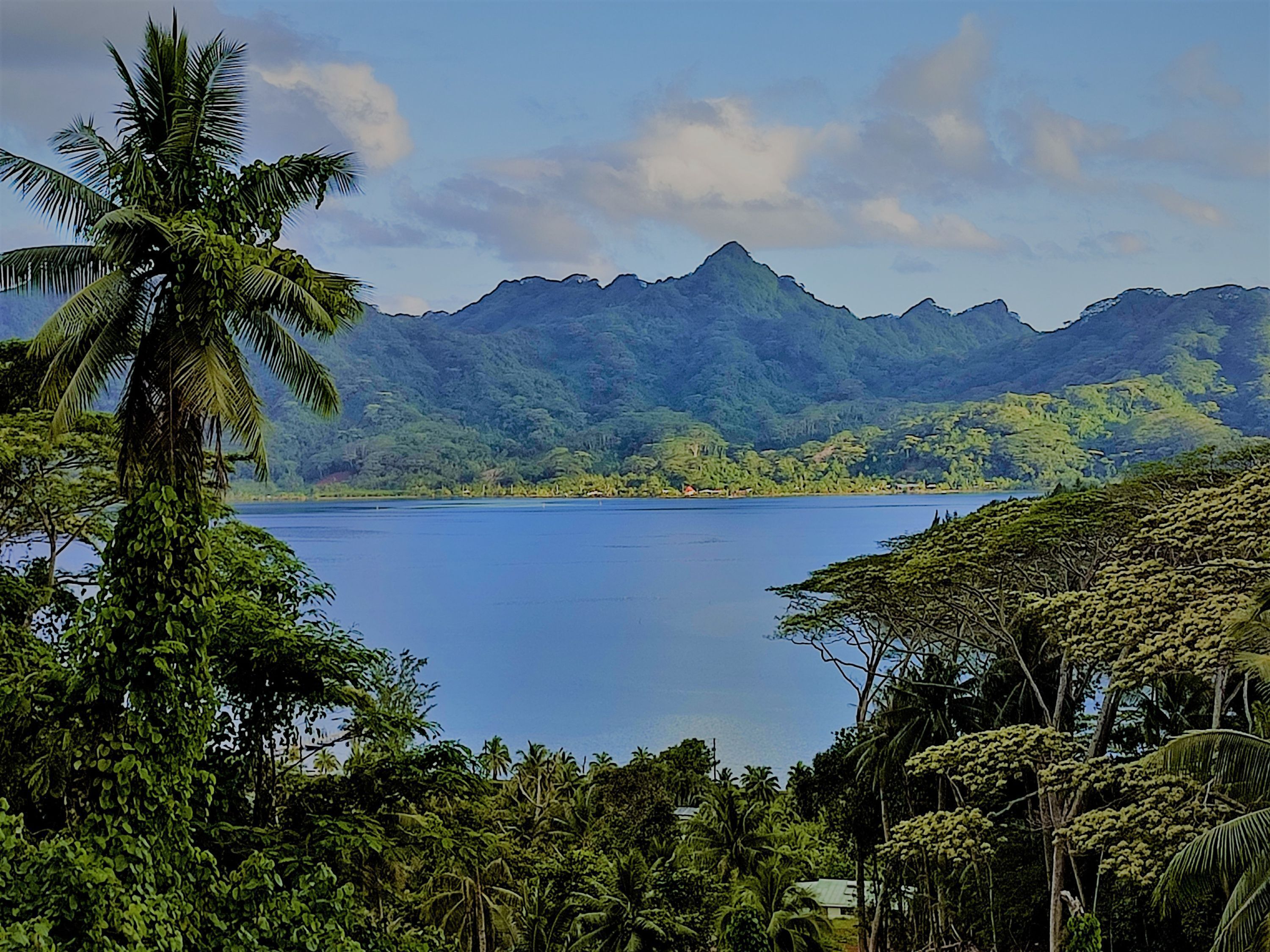 A tropical landscape with a large body of water, lush greenery, and mountains in the background.