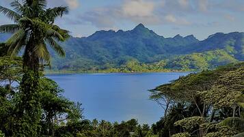 A tropical landscape with a large body of water, lush greenery, and mountains in the background.