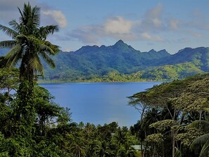 A tropical landscape with a large body of water, lush greenery, and mountains in the background.