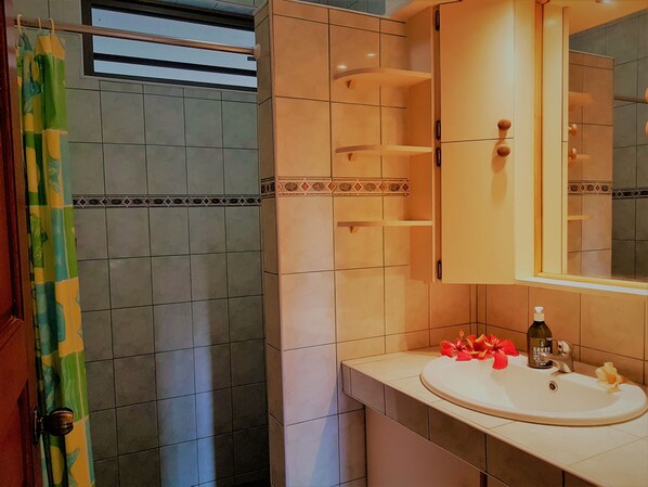 A bathroom with a shower, a sink with a bottle of soap, and a mirror above the sink. - Huahine - Tipanier House (Huahine)