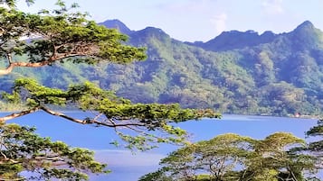 A mountainous landscape with a lake and dense forest.
