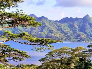 A mountainous landscape with a lake and dense forest.