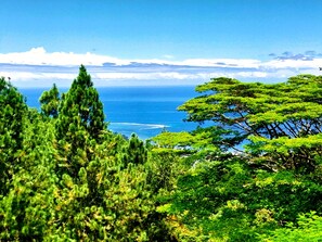 Villa, fumadores | 3 dormitorios