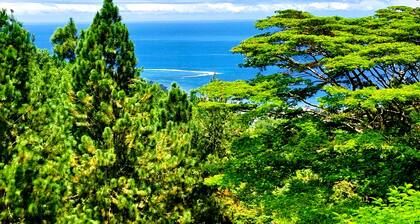 Tahiti - Villa Fa ati Luxury - 9 Pers
