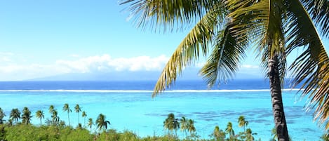 Apartemen, Boleh Merokok | 2 kamar tidur