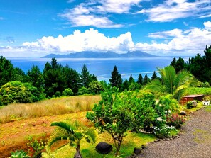 Room - Tahiti - Villa Fa ati Luxury - 16 Pers (Punaauia)