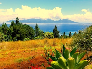 Room - Tahiti - Villa Fa ati Luxury - 16 Pers (Punaauia)