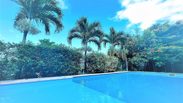 A clear blue swimming pool surrounded by lush greenery and tall palm trees. - Tahiti - Toke Condo in Faa a (Faaa)
