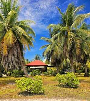 Lejlighed - ryger | 1 soveværelse