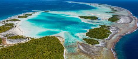 Apartment, Smoking | 1 bedroom