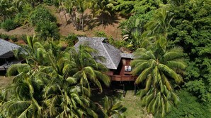 A wooden house surrounded by lush palm trees and dense greenery. - Moorea - Villa Ana Mua (Moorea-Maiao)