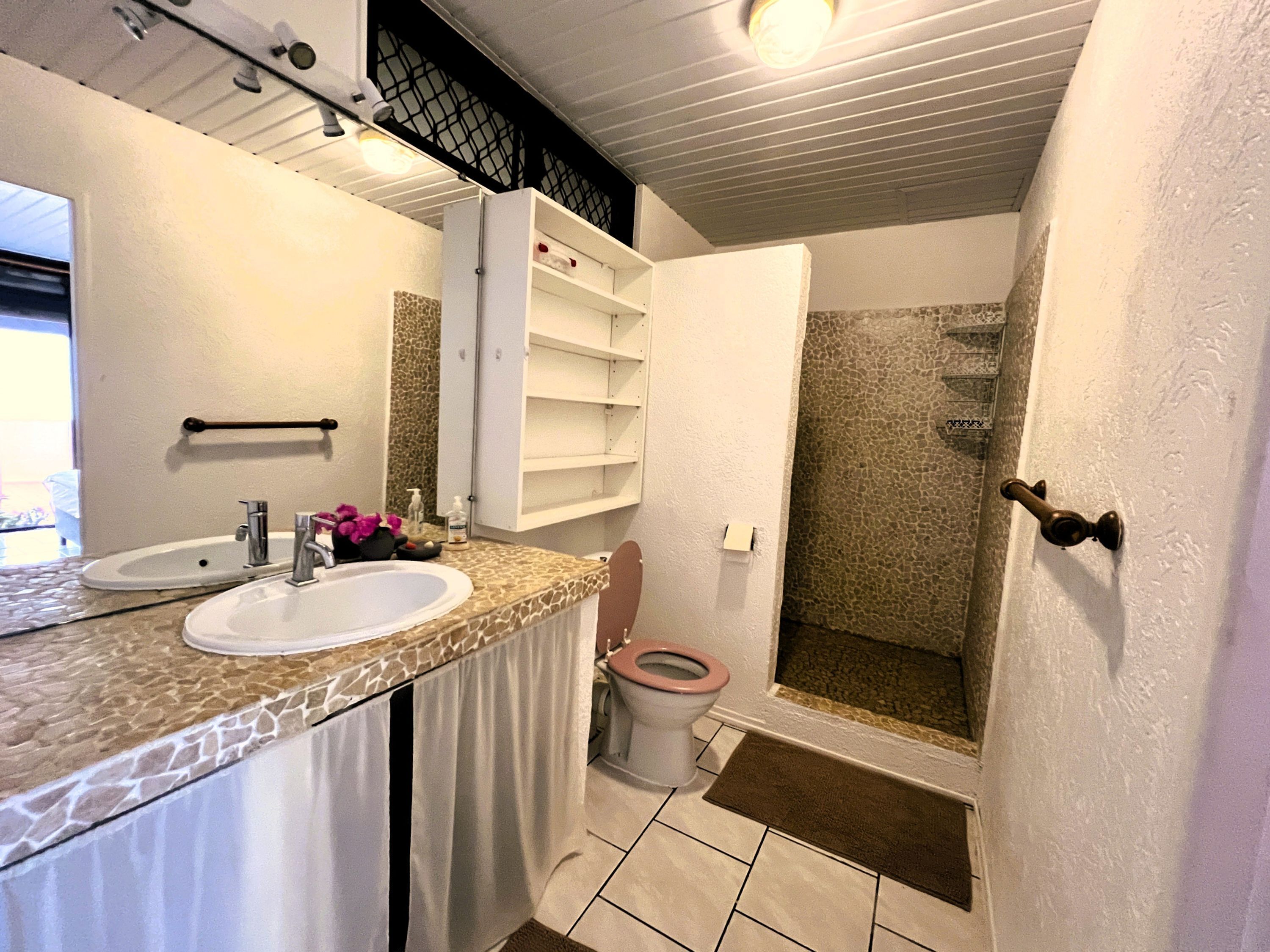 Une salle de bain avec un lavabo, des toilettes et une douche.