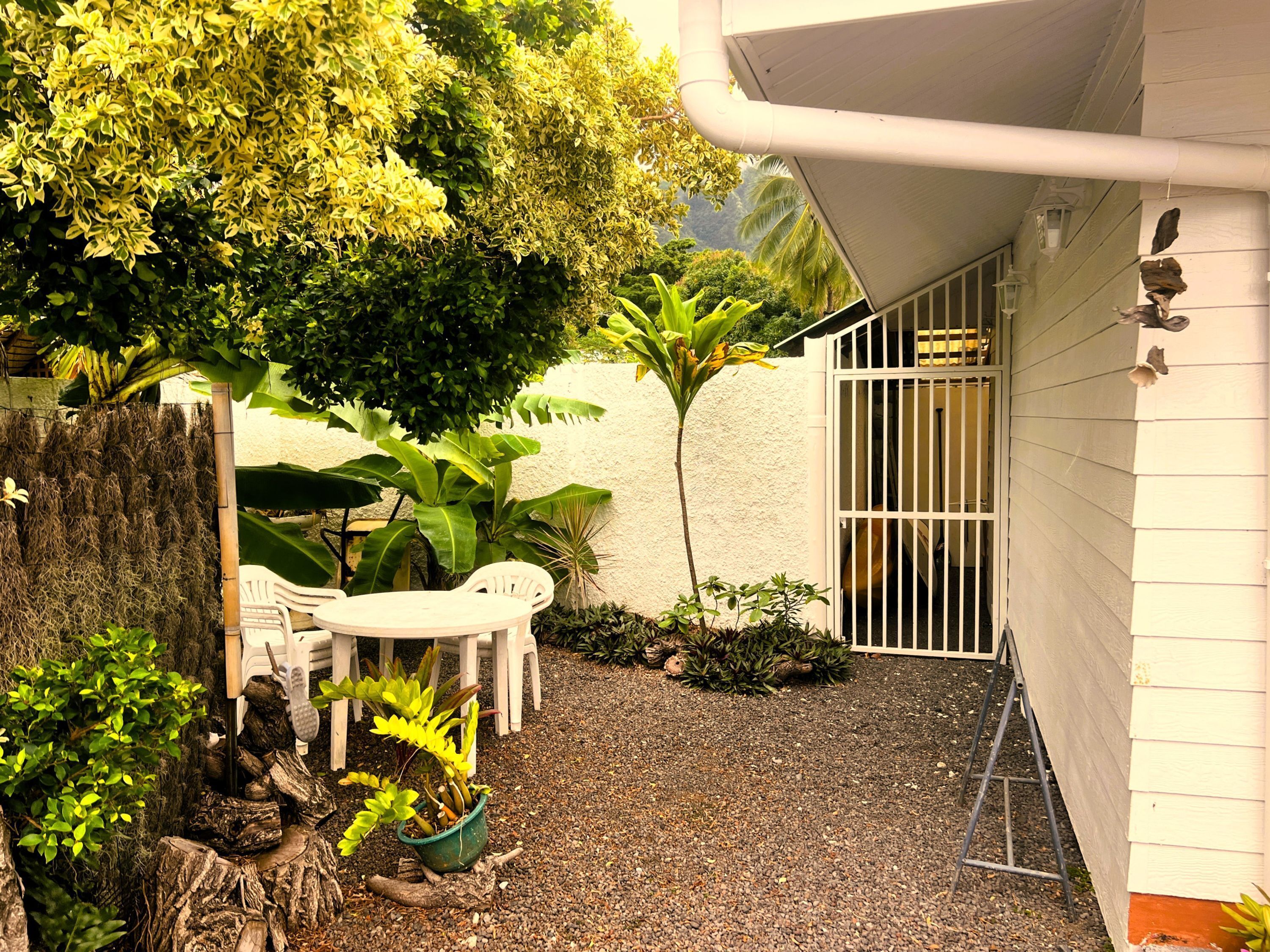 Pequeña zona de patio al aire libre con una mesa y sillas blancas, rodeada de plantas diversas y un tocón de árbol de madera.