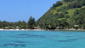A coastal view with a beach, palm trees, and a hillside with buildings.