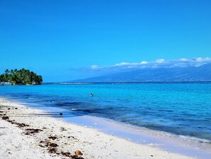 Apartment, Smoking | 1 bedroom - Moorea - O Motu in Temae (Moorea-Maiao)