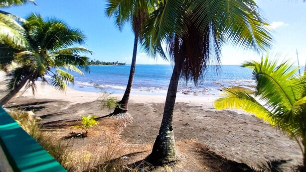 A beach with palm trees and a clear view of the ocean. - Tahiti - Matavai Bay Cottage (Arue)