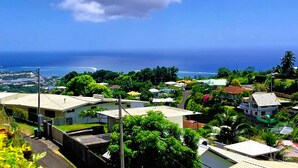 A coastal residential area with houses, greenery, and a view of the ocean. - Tahiti - Terevete Pool Studio (Arue)