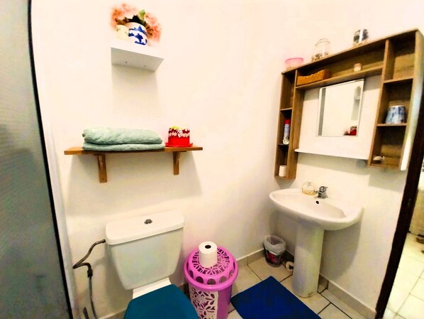 A small bathroom with a toilet, sink, and shelves.
