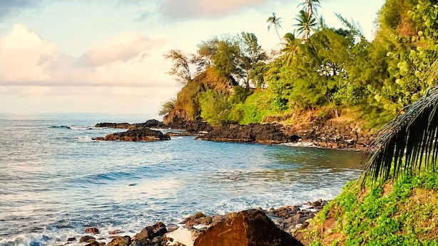 A coastal landscape with rocky shores, palm trees, and a clear sky. - Tahiti - Haumaru Beach Fare (Mahina)