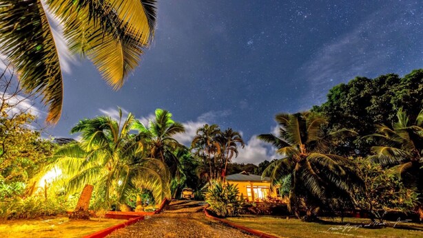 Un resort tropical con palmeras y un cielo estrellado.