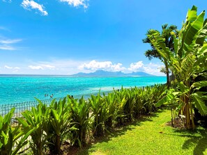 House, Smoking | 1 bedroom