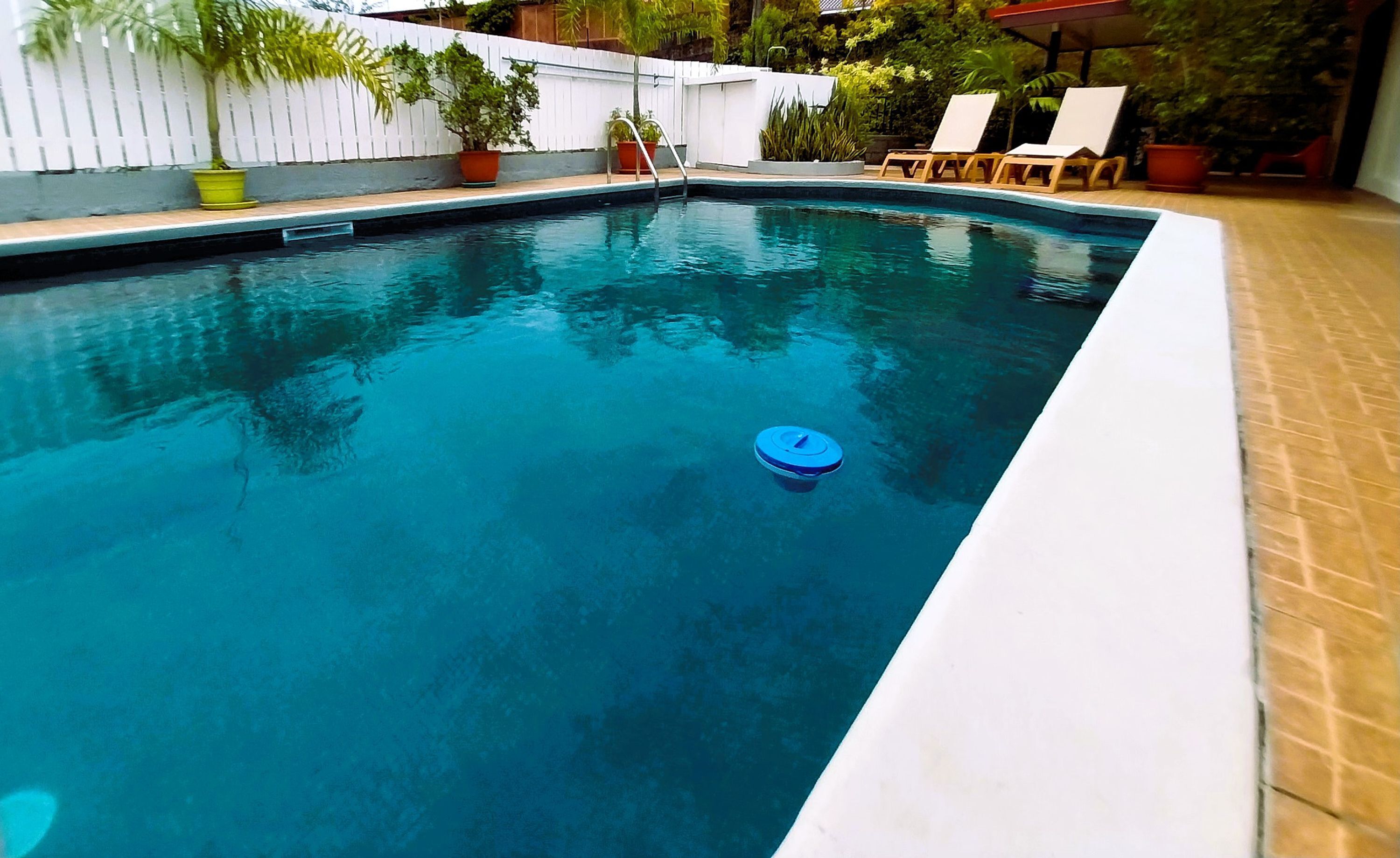 A swimming pool with a blue floating device, surrounded by potted plants and lounge chairs.