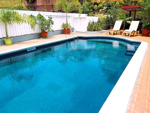 Piscina retangular com borda branca, rodeada por plantas em vasos e um cercado branco.