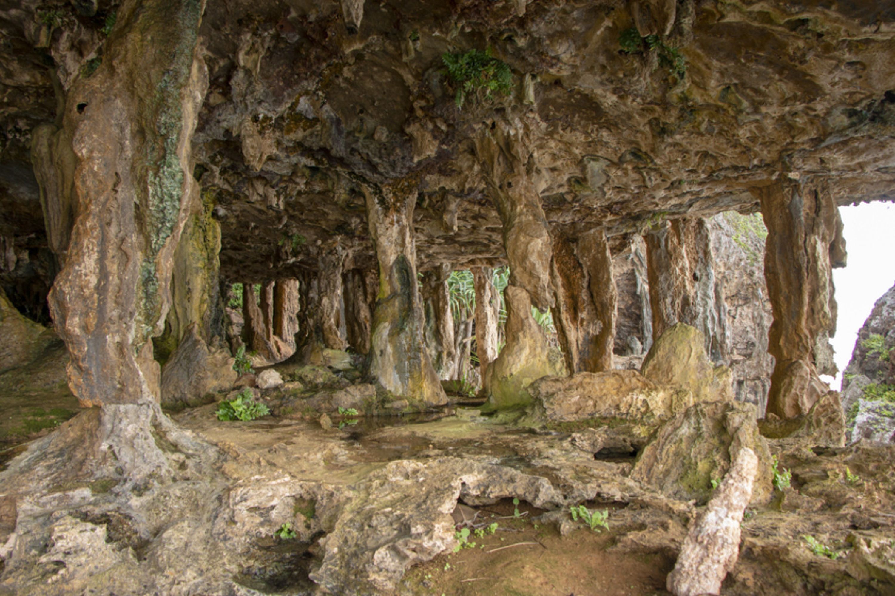 Eine Höhle mit natürlichen Felsformationen und Stalaktiten.