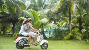 Un couple est assis sur un scooter blanc, dans un endroit verdoyant et luxuriant, parsemé de palmiers.