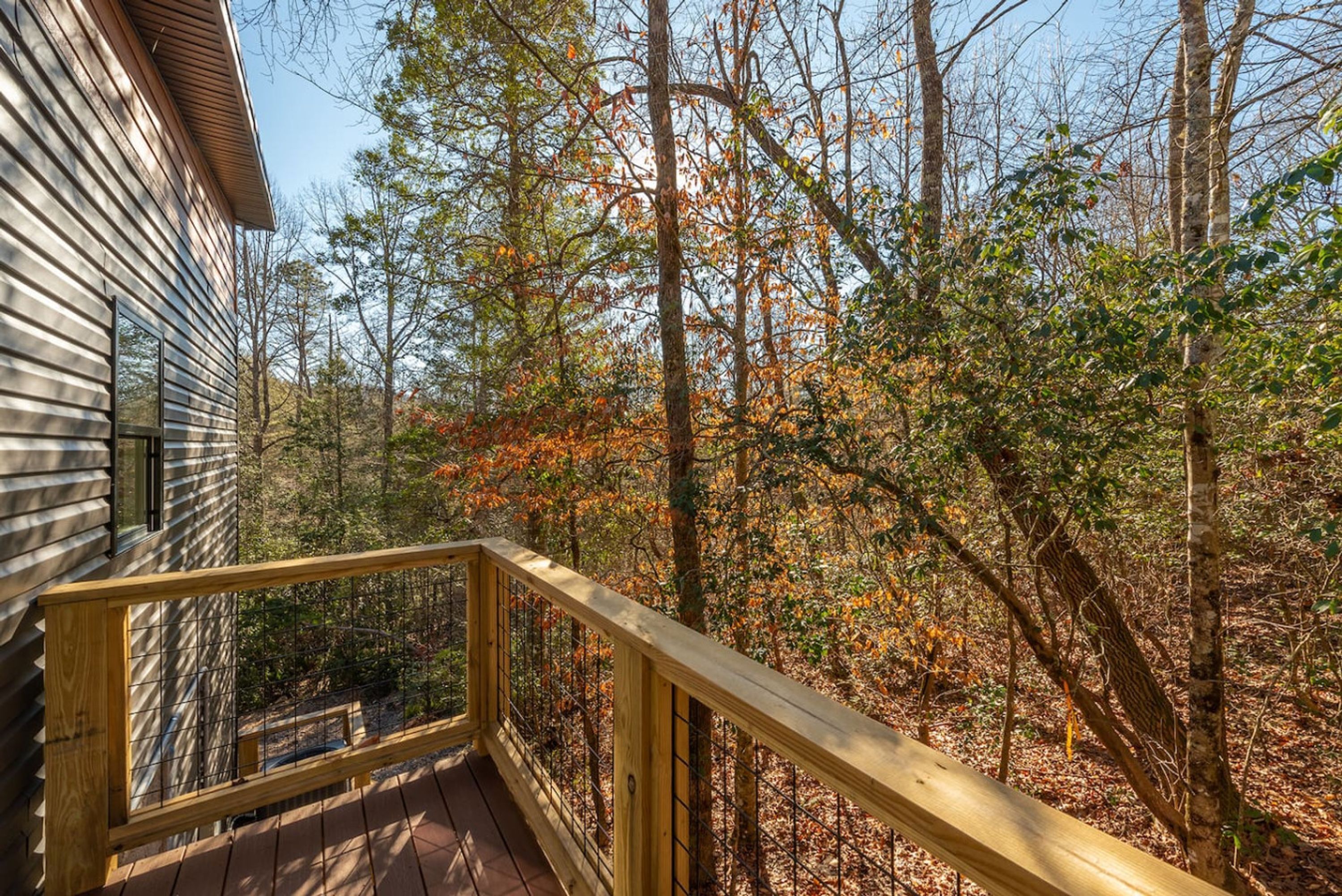 A wooden deck with a railing, surrounded by trees with autumn foliage.