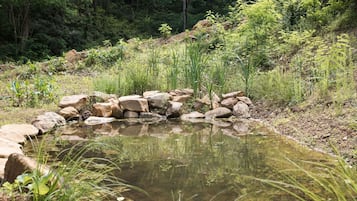 Căn hộ | 2 phòng ngủ