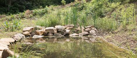 Appartement | 2 chambres