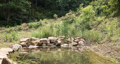 Tiny Home in the Woods Hot Tub 4 Miles to DT Haus 50