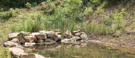 アパートメント | 3 室のベッドルーム