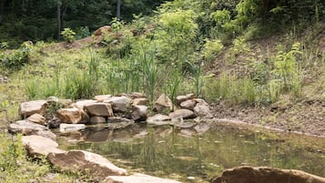 Căn hộ | 1 phòng ngủ