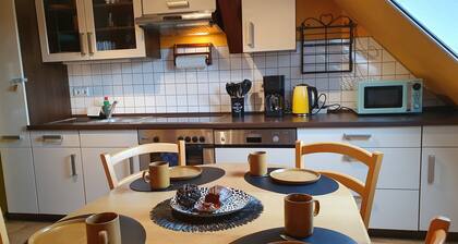 Vacation apartment in the manor house - directly opposite the castle with terrace and WLAN