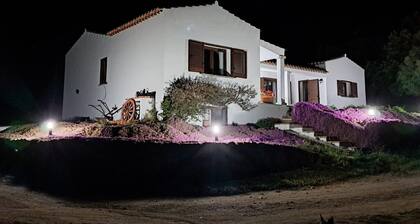 La Suara Manna