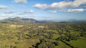 An aerial view of a rural landscape with rolling hills, scattered trees, and a prominent electricity pylon.