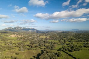 An aerial view of a rural landscape with rolling hills, scattered trees, and a prominent electricity pylon. - La Suara Manna (Telti)