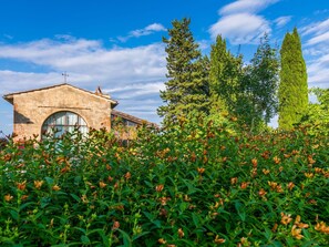 Jardines del alojamiento