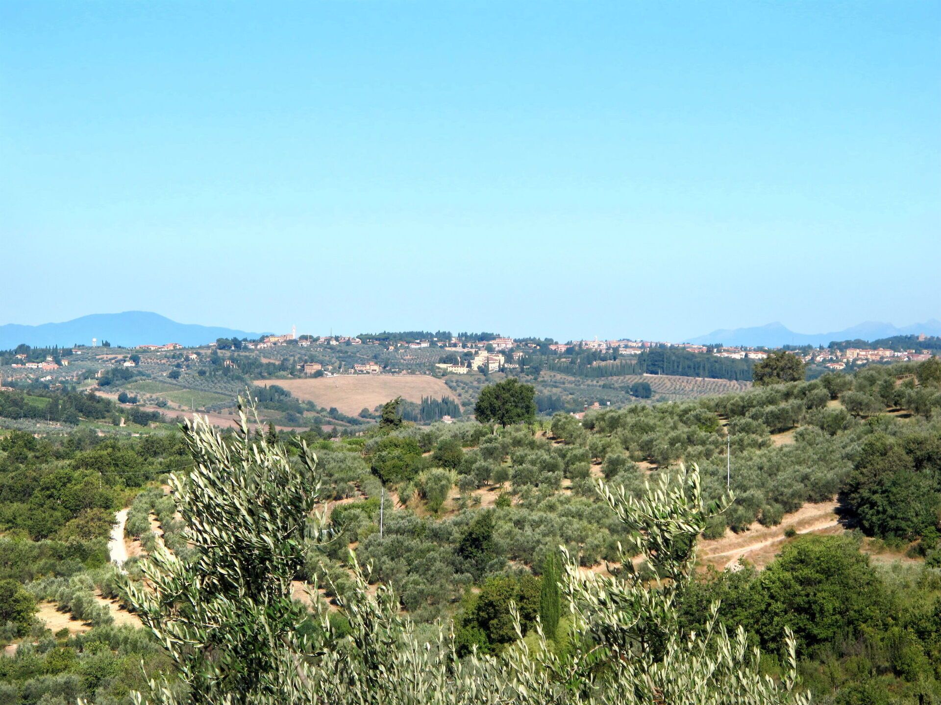 A rural landscape with olive groves, a winding path, and a distant village with buildings and a tower.