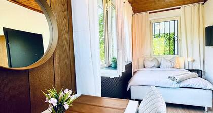 Cozy Garden Villa near Danube For 16P