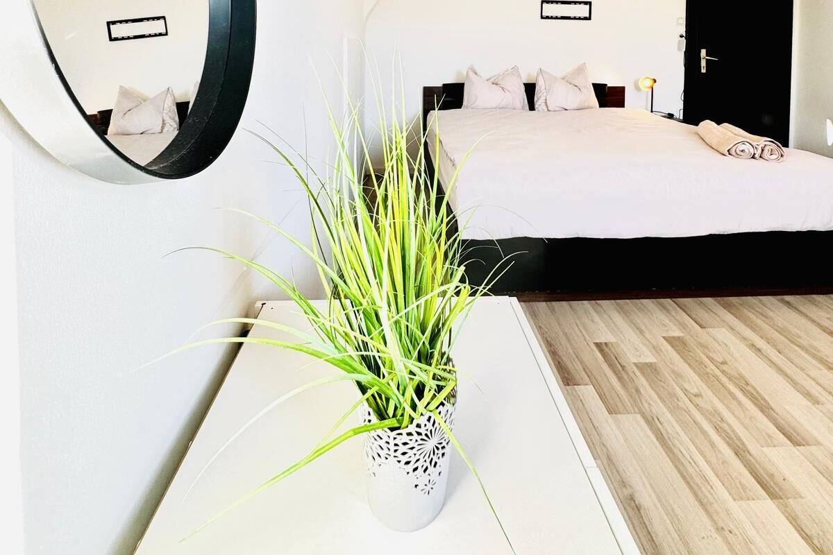 A modern bedroom with a large bed, a bedside table with a plant, a mirror, and a door.