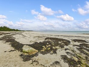A beach with seaweed-covered sand and rocks, a clear sky, and a distant shoreline.