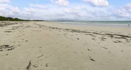 Maison Ă 30m de la plage - Grand Jardin - pour 6