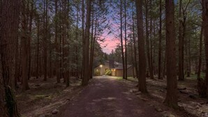 A forested path leading to a house with a visible garage and a lit exterior. - Tranquil  Pocono Escape (Blakeslee)