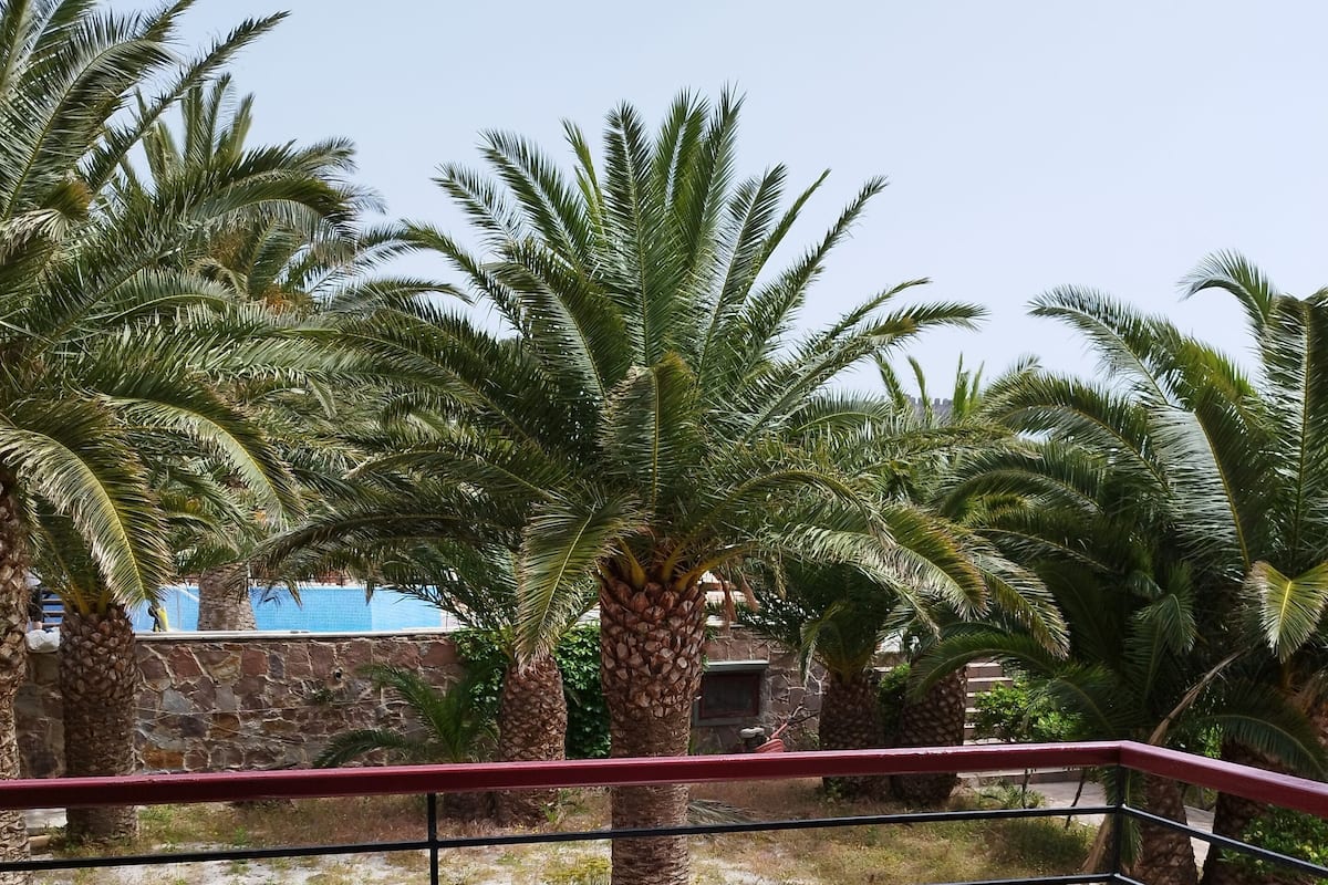 Classic Double Room, Pool View | Garden view