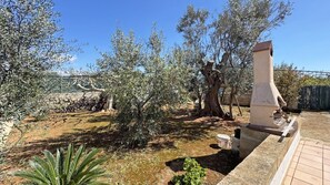 A garden with olive trees, a stone bench, and a tiled walkway. - Villa Ulivo Sleeps 7 Garden Close to the sea (Alliste)