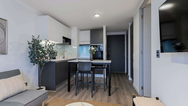A modern kitchen with a dining area, a sofa, and a potted plant.