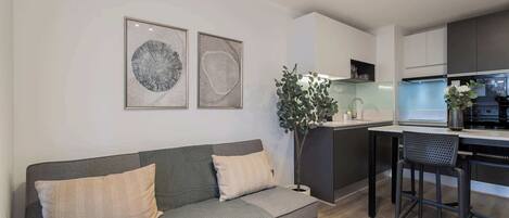 Fernseher, Arbeitsbereiche